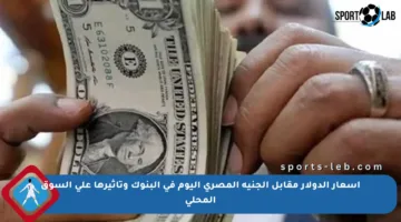 أسعار الدولار مقابل الجنيه المصري اليوم في البنوك وتأثيرها على السوق المحلي